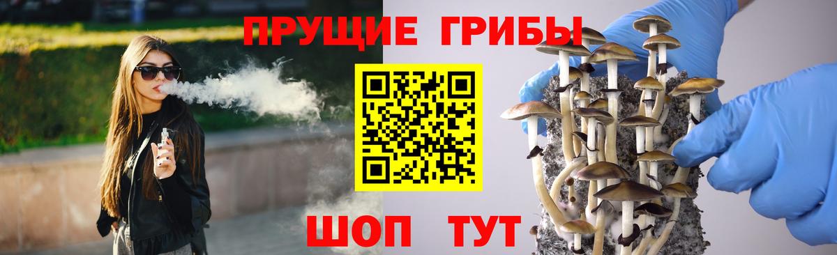 Псилоцибиновые грибы мицелий Ржев